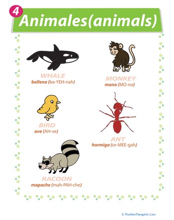 Animal Names in Spanish