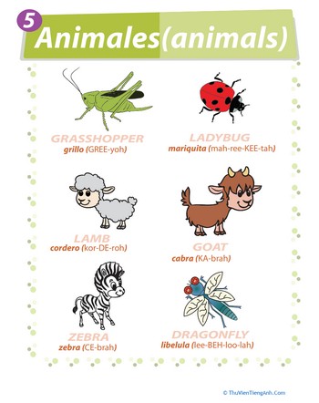 List of Animals in Spanish