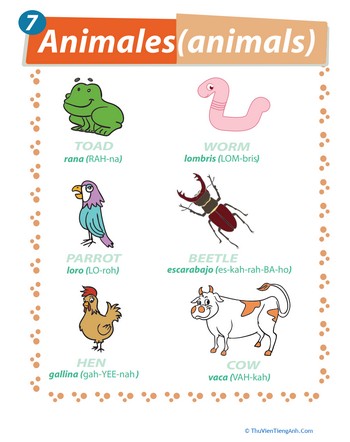 Spanish Vocabulary: Animals