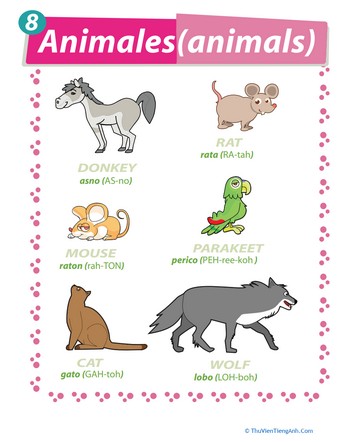 Learn Animals in Spanish!