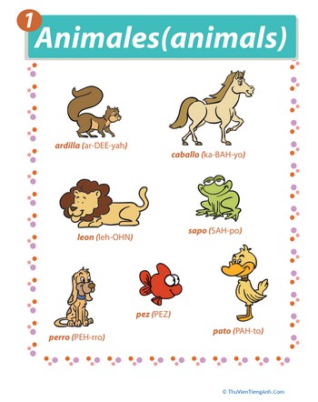Animals in Spanish