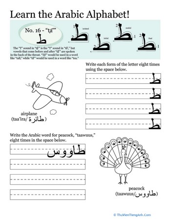 Arabic Alphabet: Ṭā’