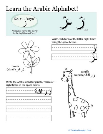 Arabic Alphabet: Zayn
