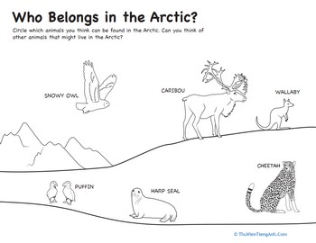 Who Belongs in the Arctic?