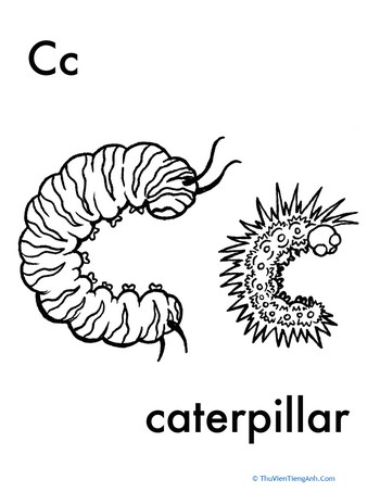 C for Caterpillar