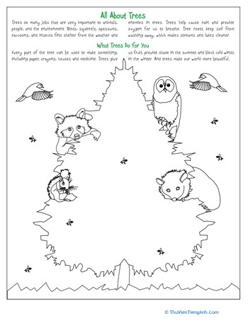Celebrate Trees with a Coloring Activity