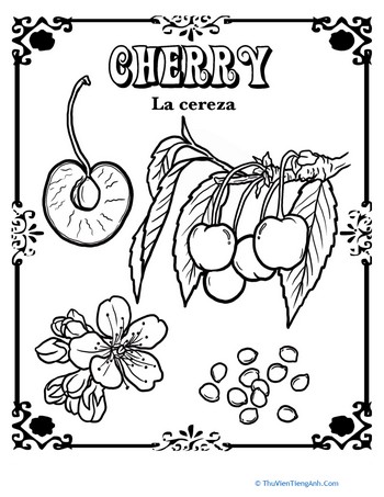 Cherry in Spanish