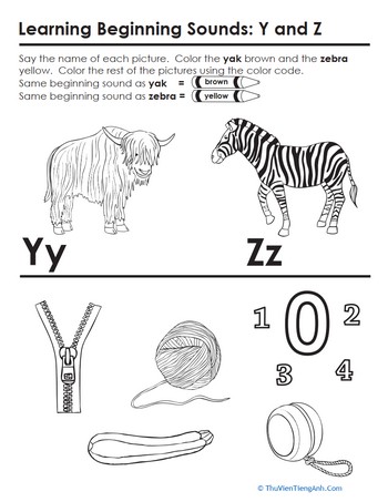 Words that Start with Y and Z