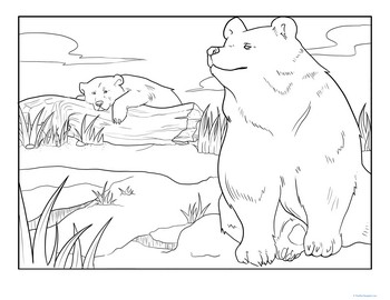 Color the Brown Bears