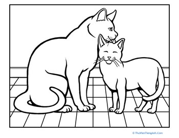 Color the Cat at Bath Time