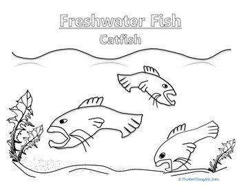 Color the Catfish
