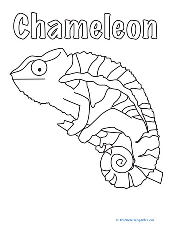 Color the Chameleon!
