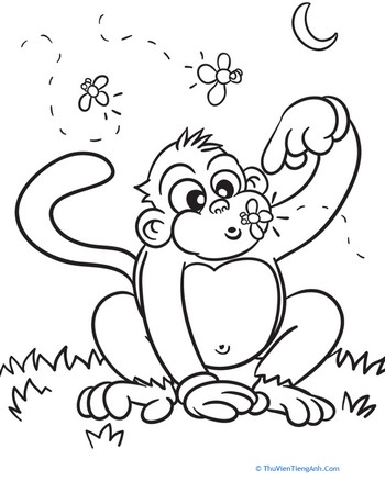Color the Cute Monkey