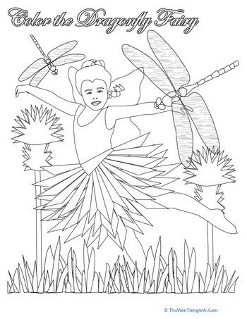Color the Dragonfly Fairy