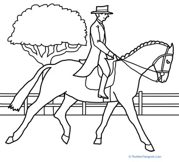 Color the Fancy Equestrian