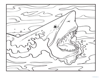 Color the Fearsome Shark