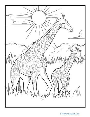 Color the Mother and Baby Giraffe
