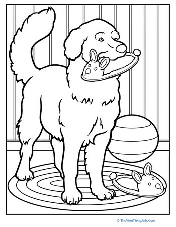 Pet Dog Coloring Page