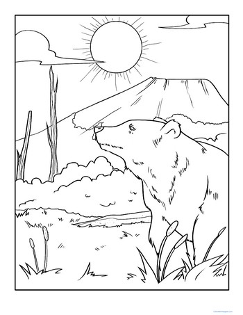 Color the Grizzly Bear