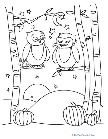 Color the Halloween Owls