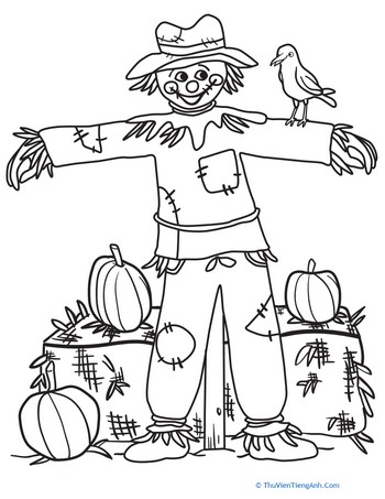 Color the Happy Scarecrow