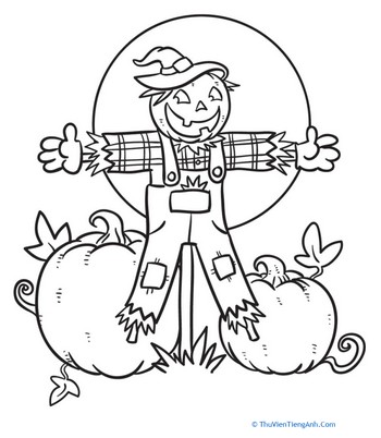 Color the Jack-o’-Lantern Scarecrow