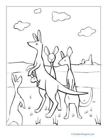 Color the Kangaroo Family