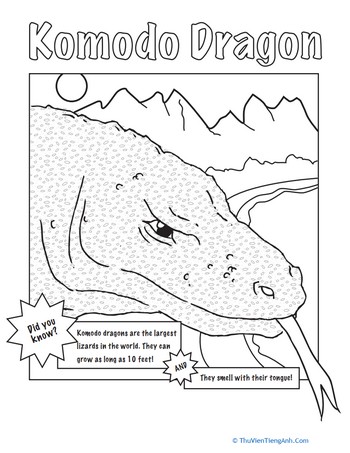 Color the Komodo Dragon