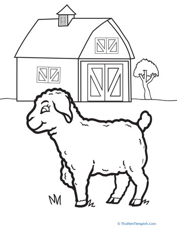 Lamb Coloring Page