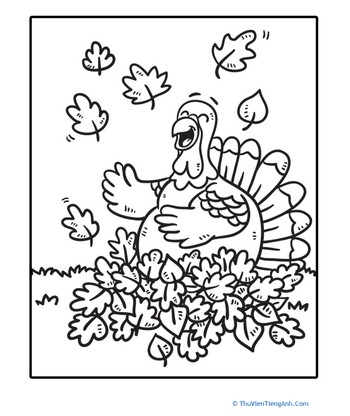 Color the Laughing Turkey