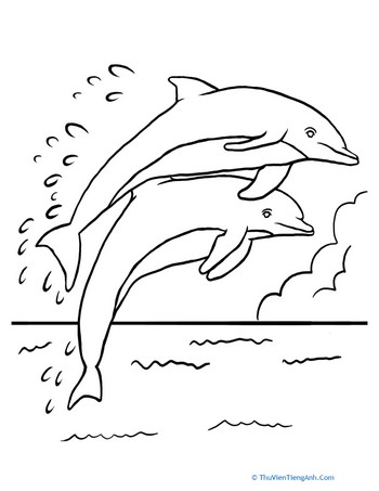 Leaping Dolphins Coloring Page