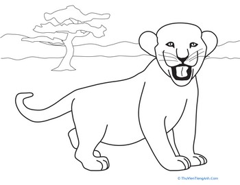 Lion Cub Coloring Page