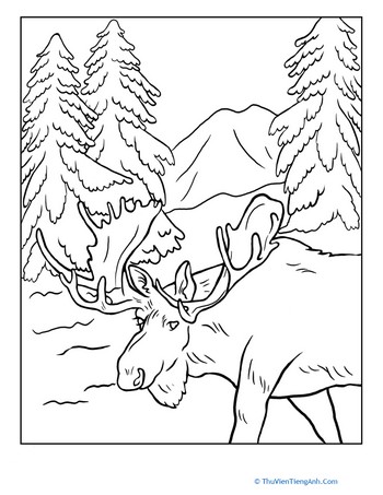 Alaska Moose Coloring Page