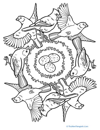 Bird Mandala