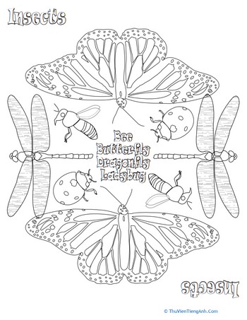 Color a Mandala: Insects