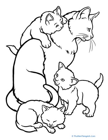 Color the Mommy Cat and Kittens