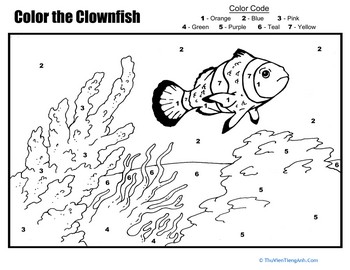 Color by Number: The Clownfish