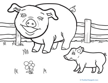 Color a Pig and Piglet
