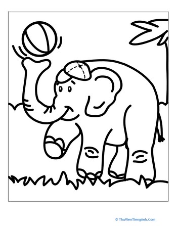 Playful Elephant Coloring Page