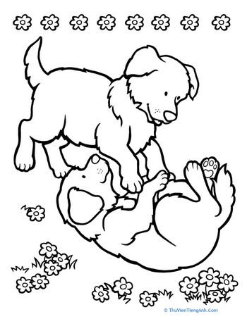 Playing Puppies Coloring Page