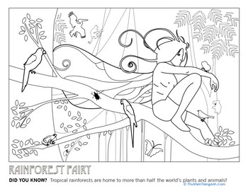 Color a Rainforest Fairy!