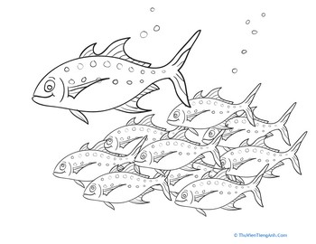 Color the School of Fish