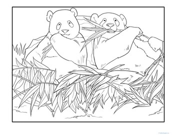 Panda Pals Coloring Page