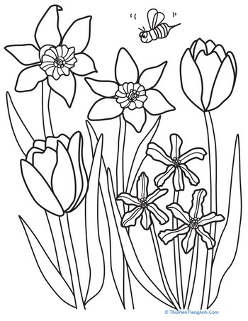 Color the Spring Flowers