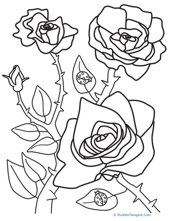 Spring Roses Coloring Page