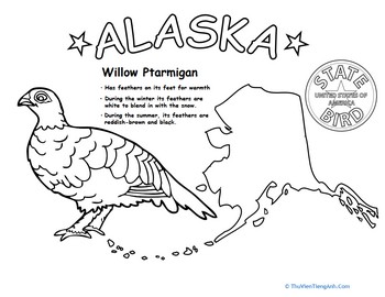 Alaska State Bird