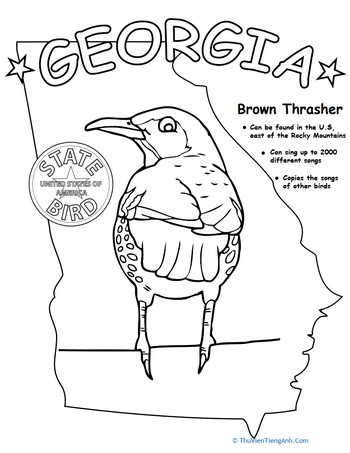 Georgia State Bird
