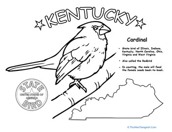 Kentucky State Bird
