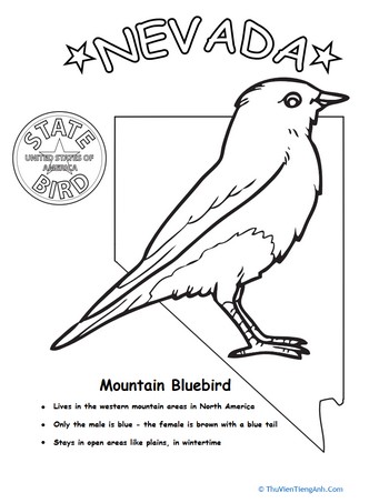 Nevada State Bird