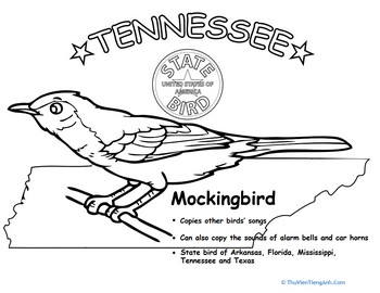 Tennessee State Bird